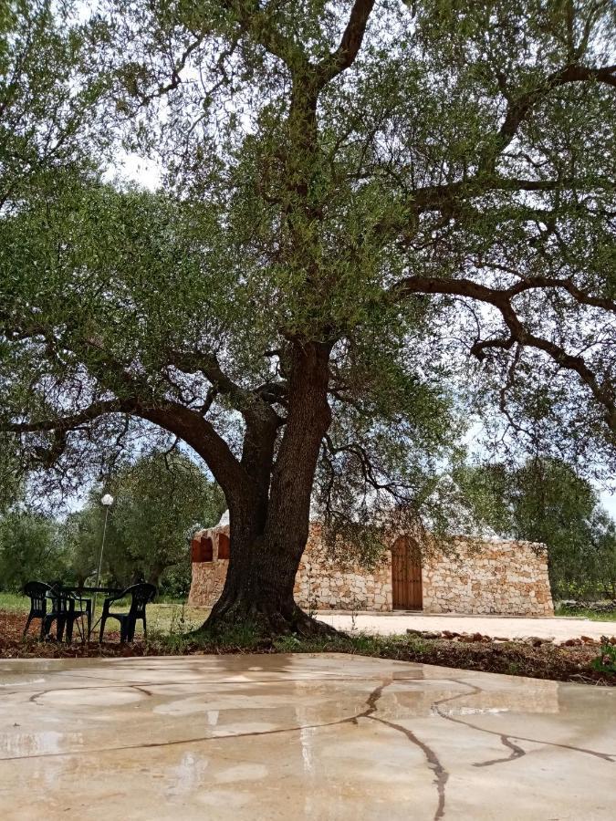 サン・ヴィート・デイ・ノルマンニ Trulli Monte Madreヴィラ エクステリア 写真