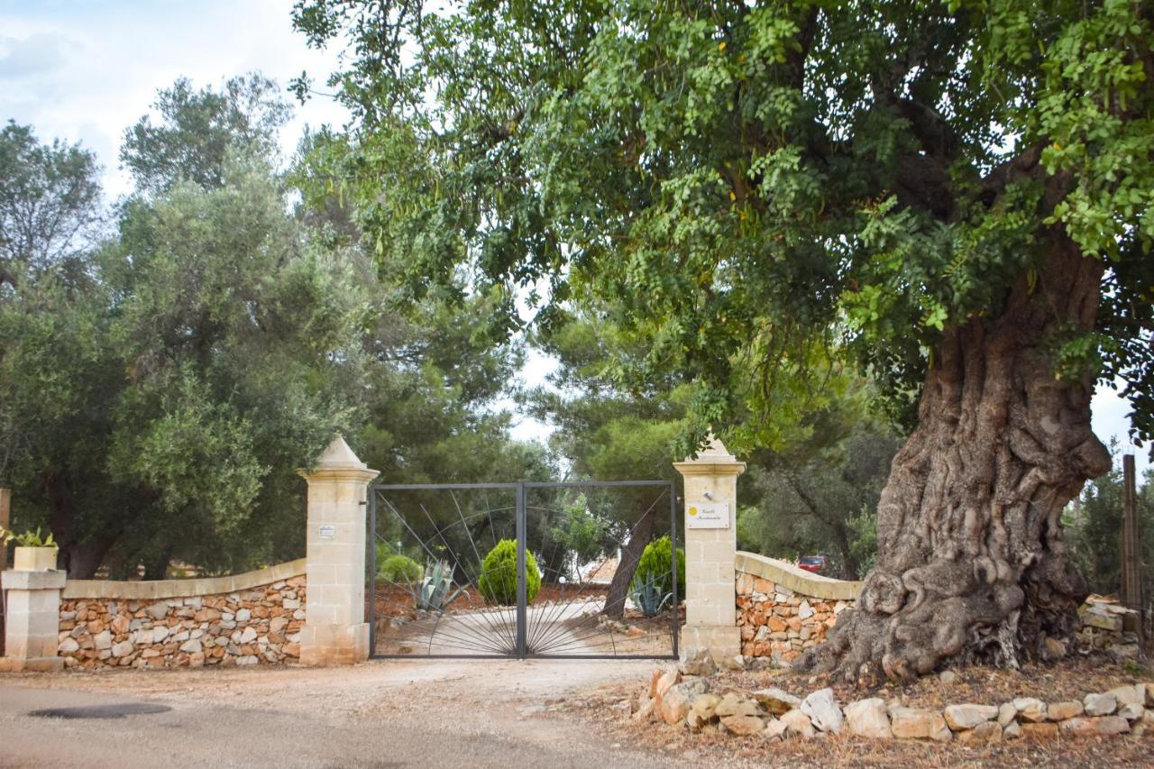 サン・ヴィート・デイ・ノルマンニ Trulli Monte Madreヴィラ エクステリア 写真